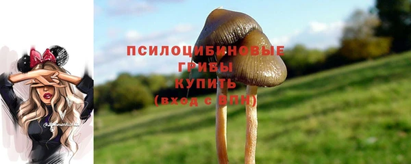 прущие грибы Балахна