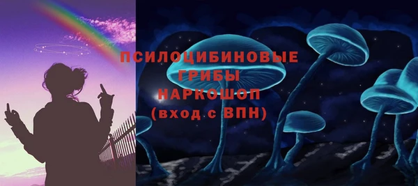 прущие грибы Балахна