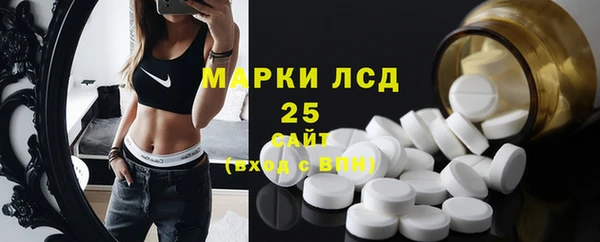 прущие грибы Балахна