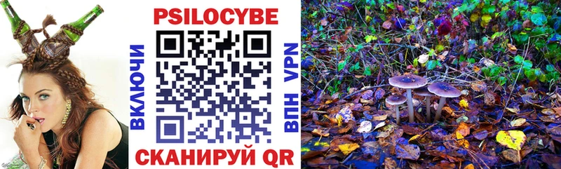 цена   Сегежа  Галлюциногенные грибы Psilocybine cubensis 