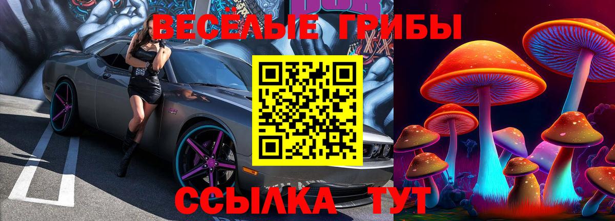 Псилоцибиновые грибы мухоморы Сегежа