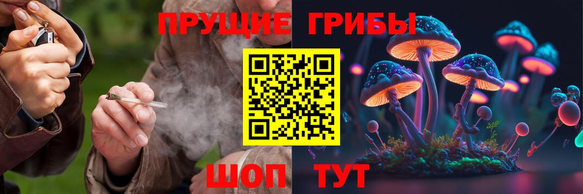 Псилоцибиновые грибы Psilocybine cubensis  Вход с VPN  Сегежа  что такое наркотик  Галлюциногенные грибы Magic Shrooms 
